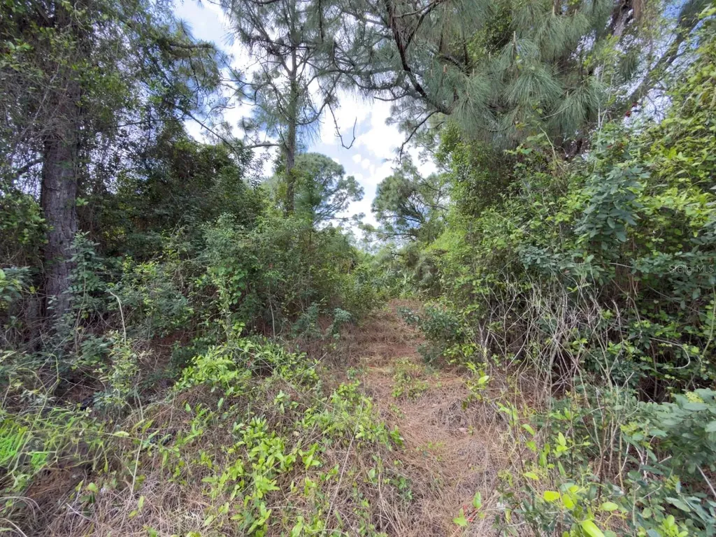 4529 28th Street SW Lehigh Acres FL 33973