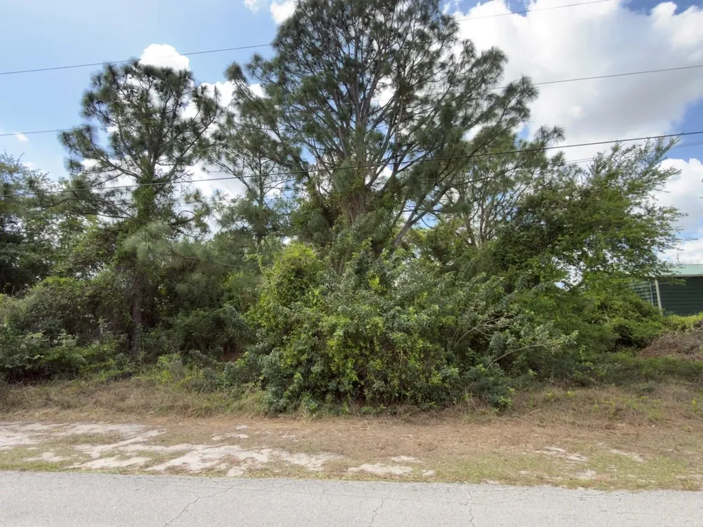 4529 28th Street SW Lehigh Acres FL 33973