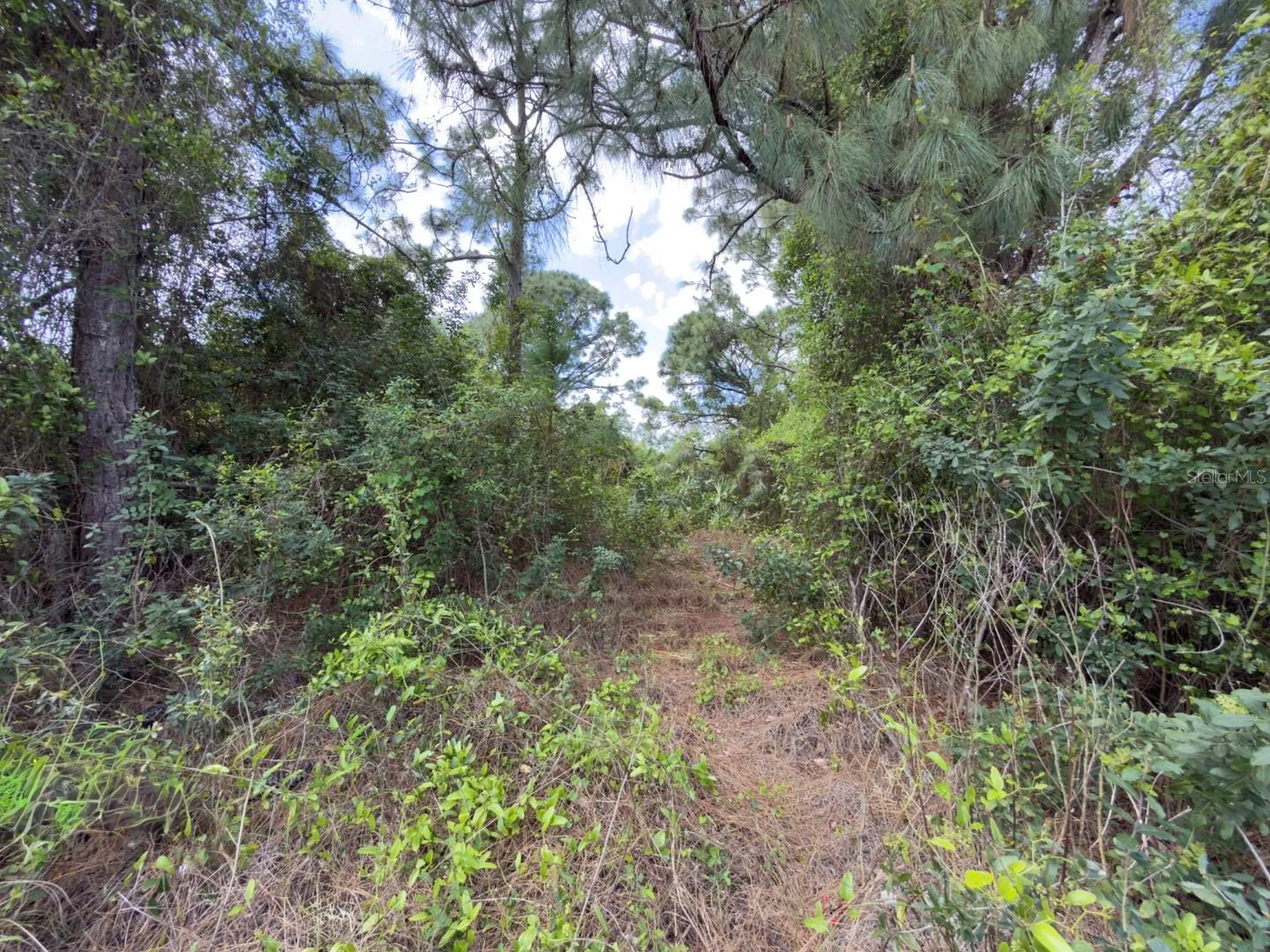 4529 28th Street SW Lehigh Acres FL 33973