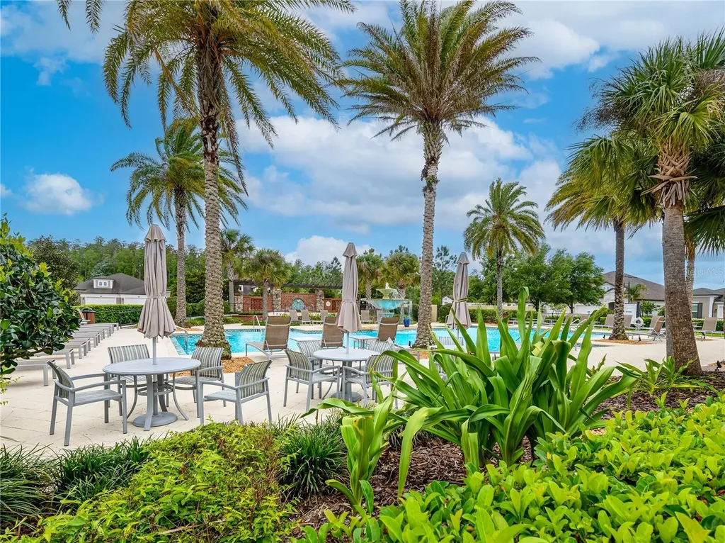 4521 Barletta Court Wesley Chapel FL 33543
