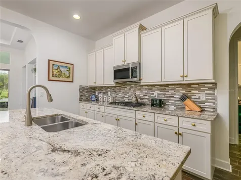 4521 Barletta Court Wesley Chapel FL 33543