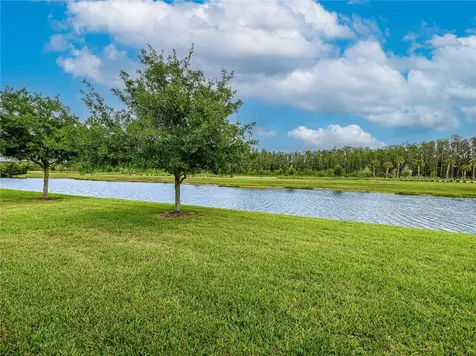 4521 Barletta Court Wesley Chapel FL 33543