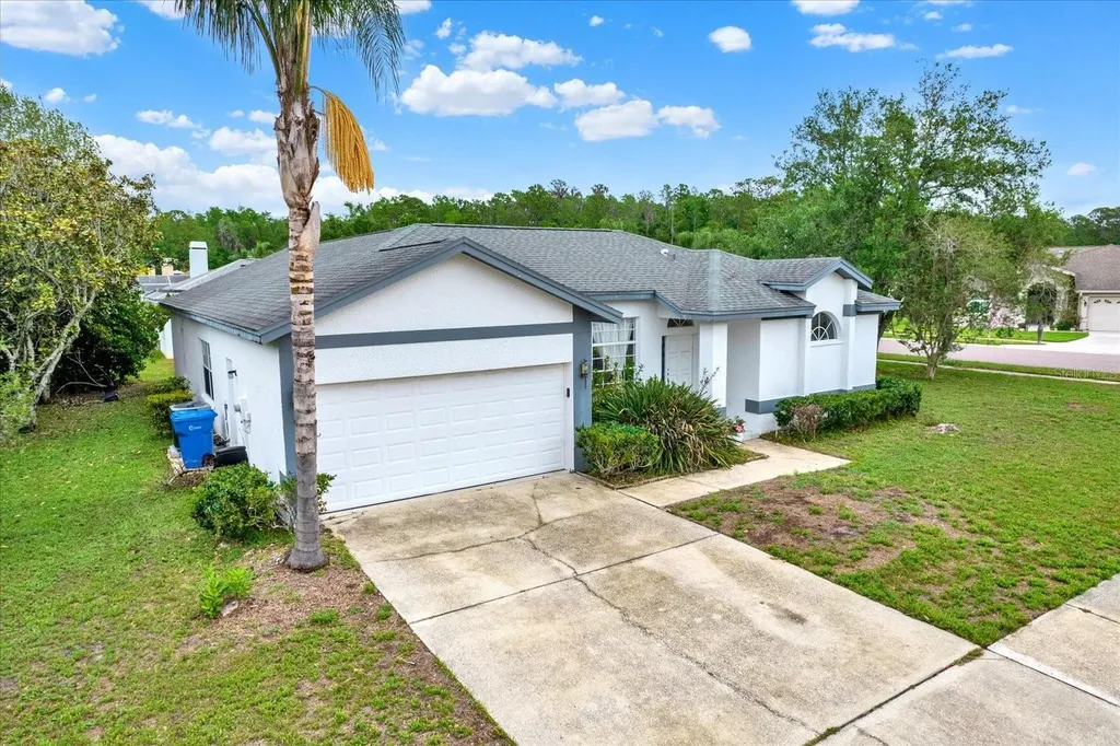 2433 Saddlewood Lane Palm Harbor FL 34685