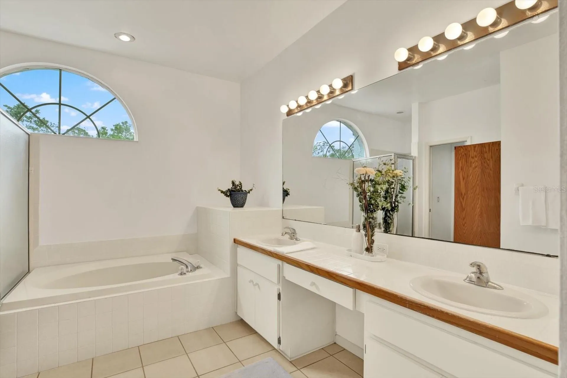 2433 Saddlewood Lane Palm Harbor FL 34685