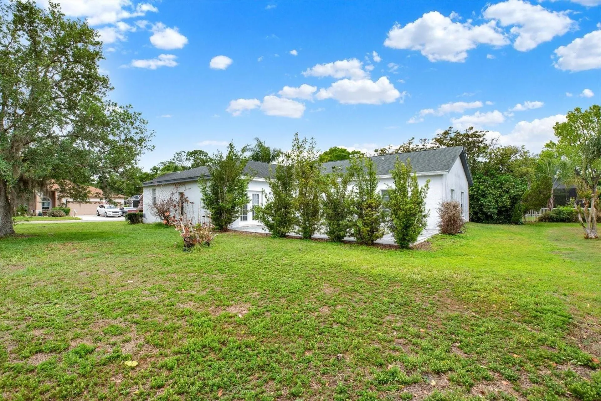 2433 Saddlewood Lane Palm Harbor FL 34685