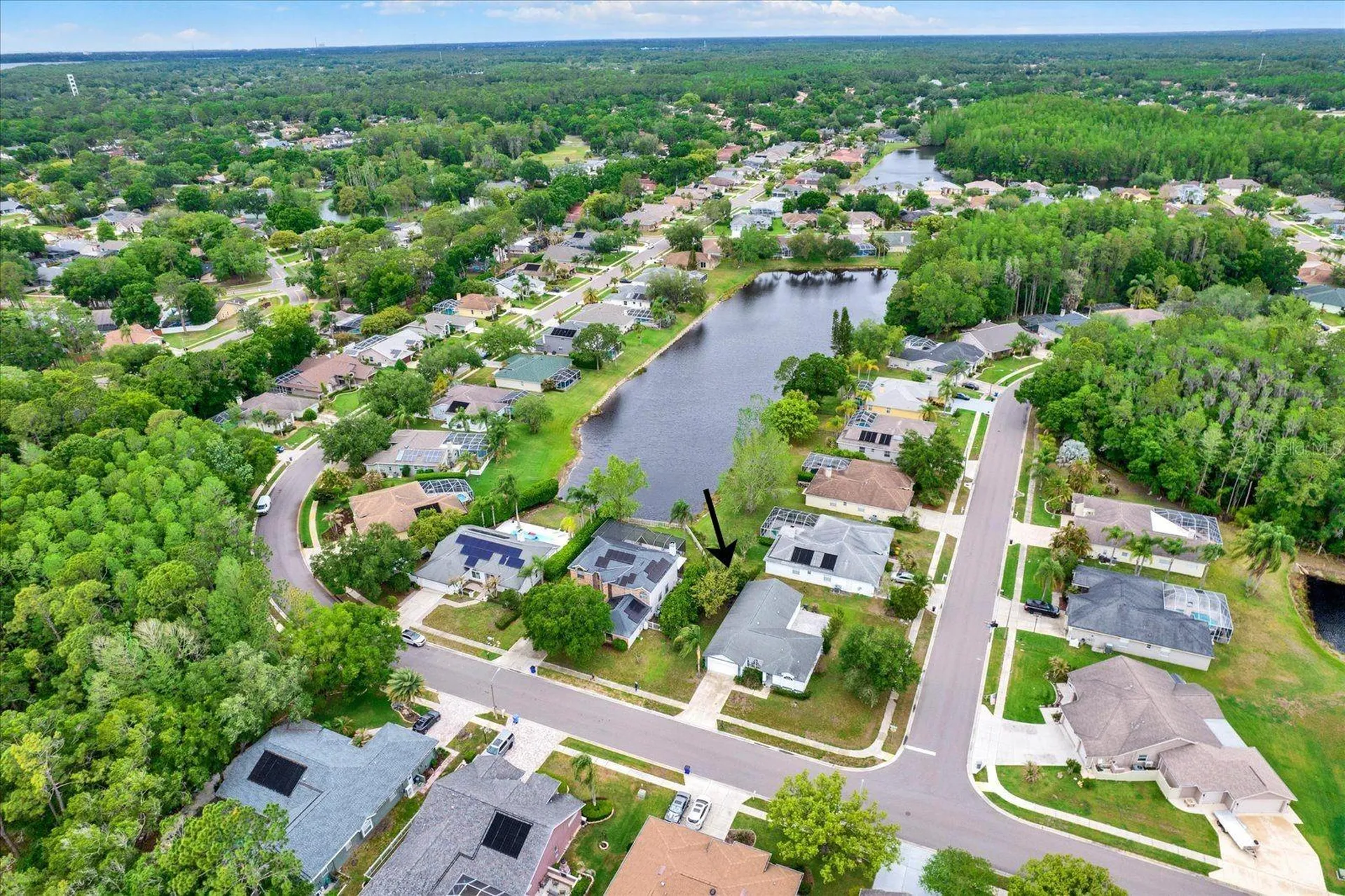 2433 Saddlewood Lane Palm Harbor FL 34685