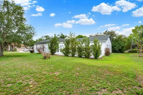 2433 Saddlewood Lane Palm Harbor FL 34685