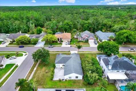 2433 Saddlewood Lane Palm Harbor FL 34685