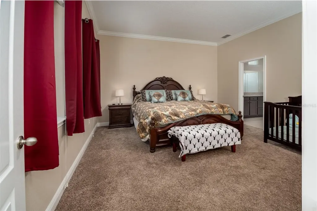 11604 Quiet Forest Drive Tampa FL 33635