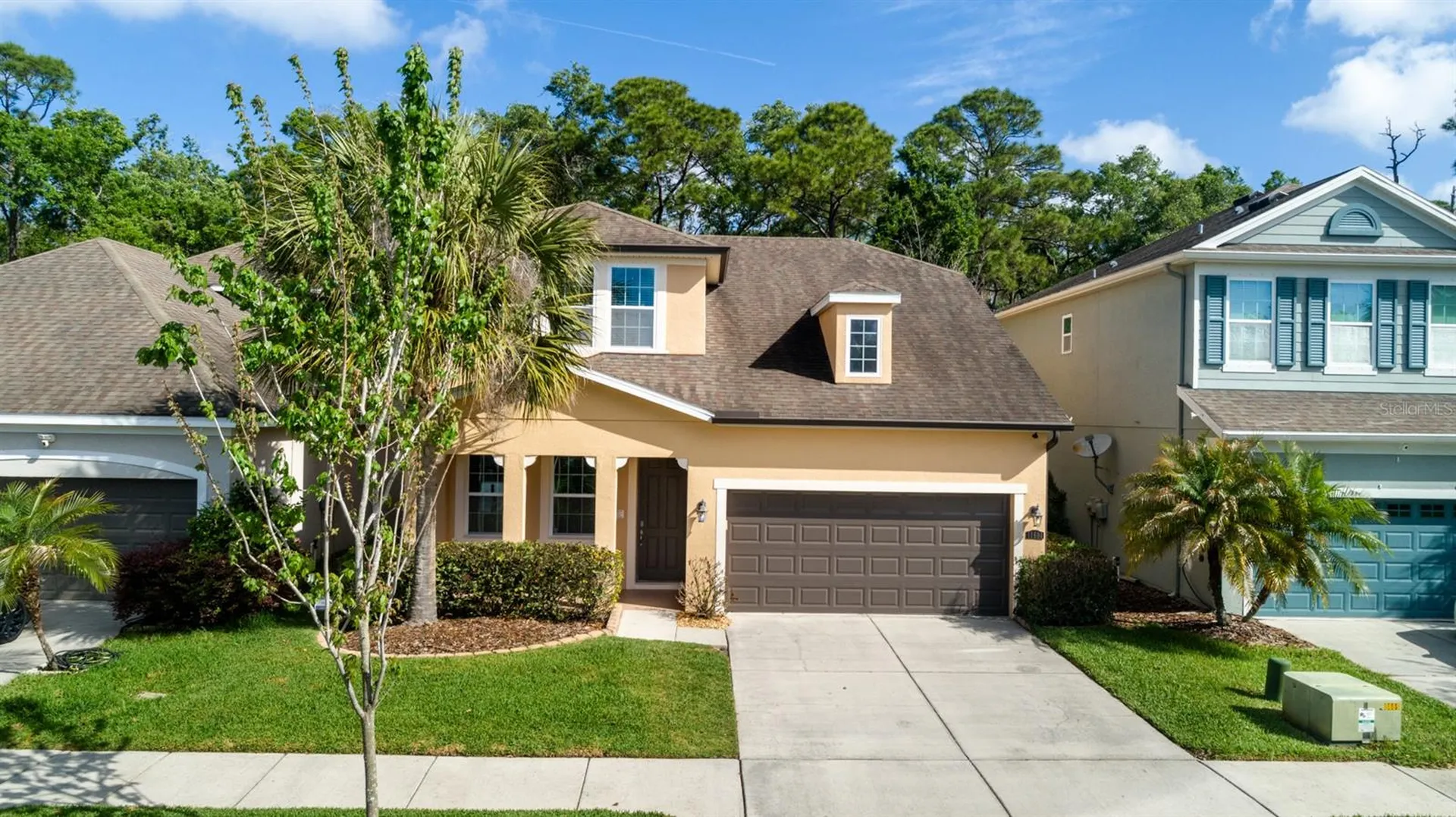 11604 Quiet Forest Drive Tampa FL 33635