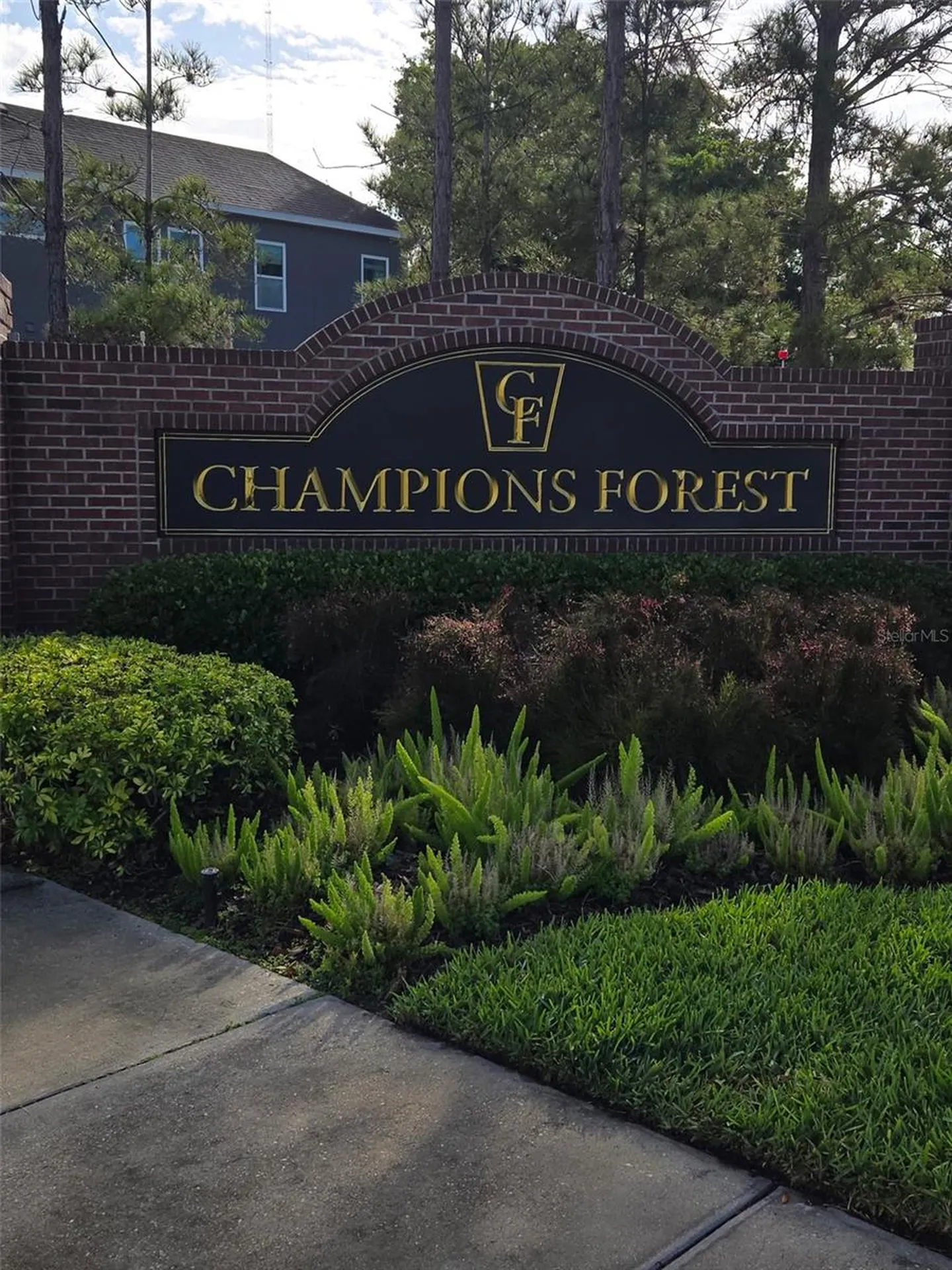 11604 Quiet Forest Drive Tampa FL 33635