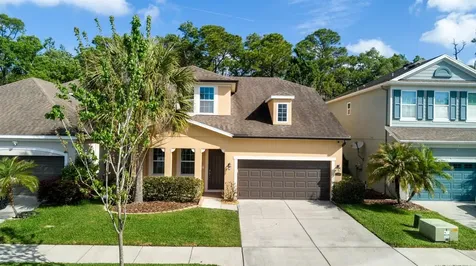 11604 Quiet Forest Drive Tampa FL 33635