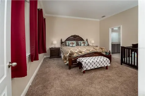 11604 Quiet Forest Drive Tampa FL 33635