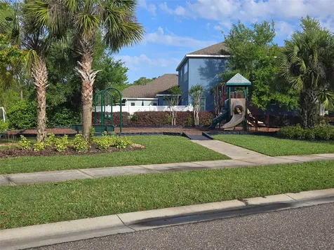 11604 Quiet Forest Drive Tampa FL 33635