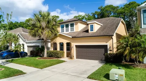11604 Quiet Forest Drive Tampa FL 33635
