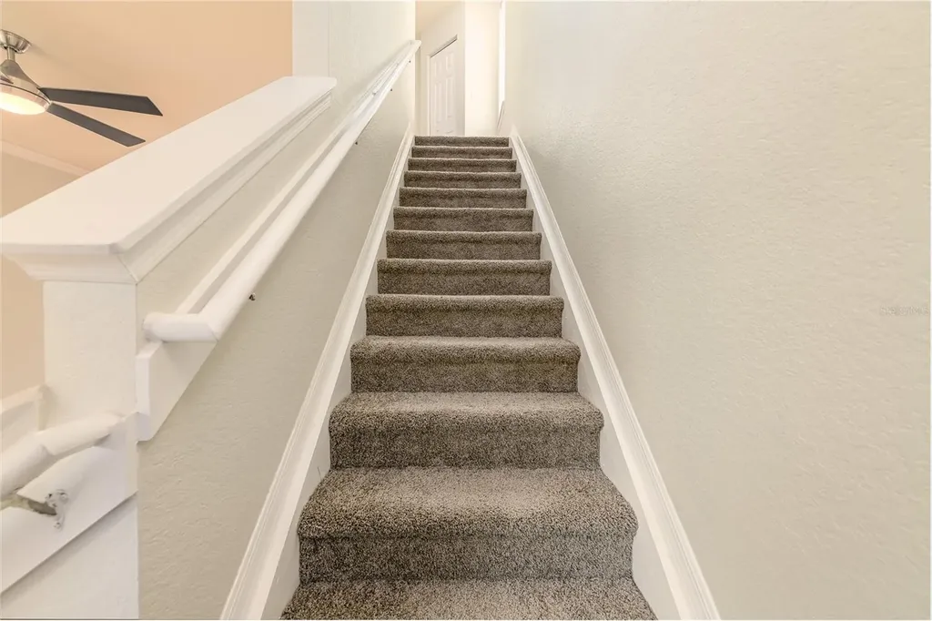 112 Beach Haven Lane Tampa FL 33609