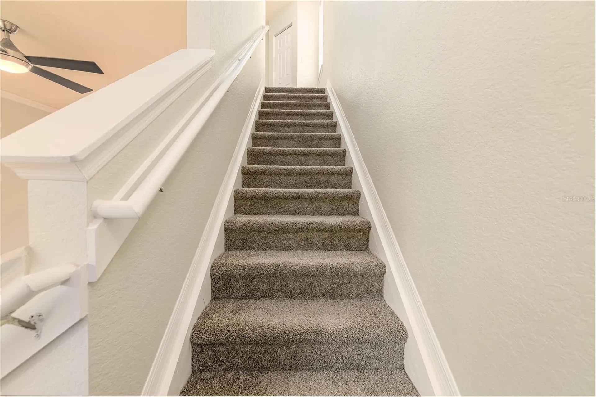 112 Beach Haven Lane Tampa FL 33609
