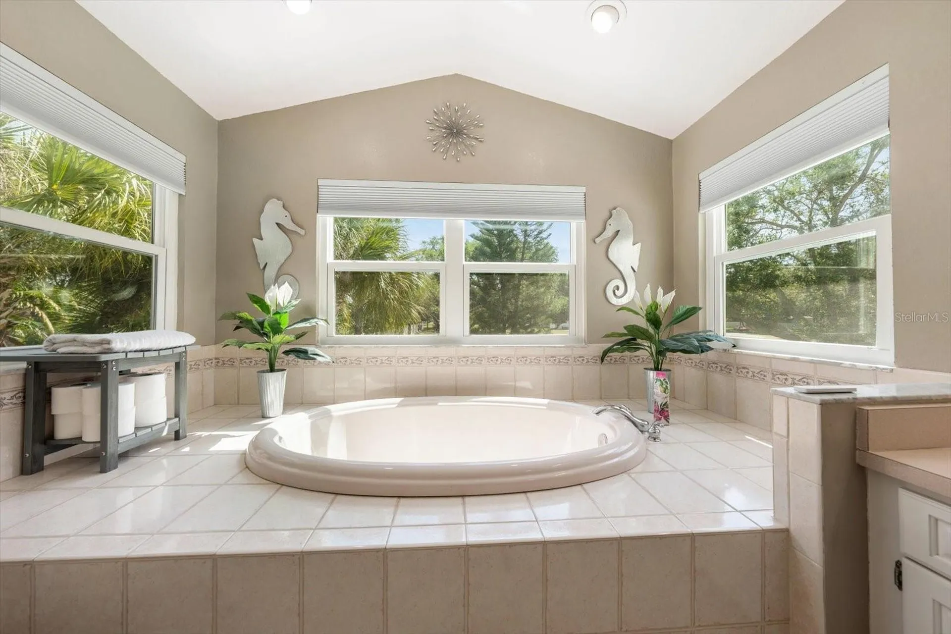 1633 Haywick Terrace Dunedin FL 34698