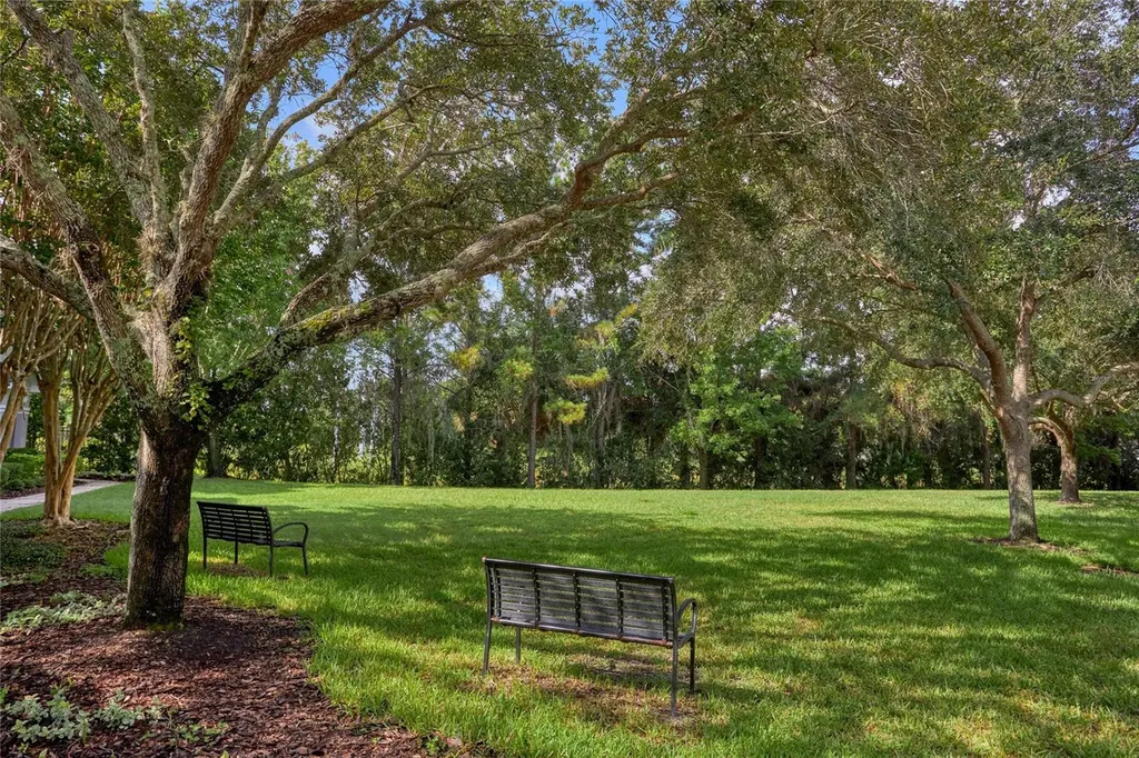 9410 Georgian Park Lane Tampa FL 33626