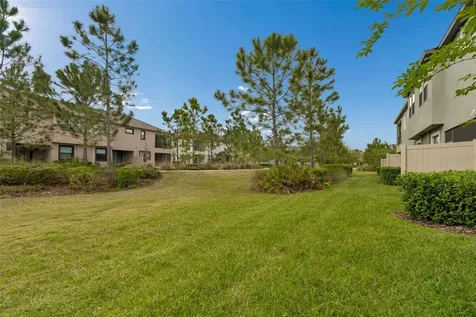 4565 Ancona Way Wesley Chapel FL 33543