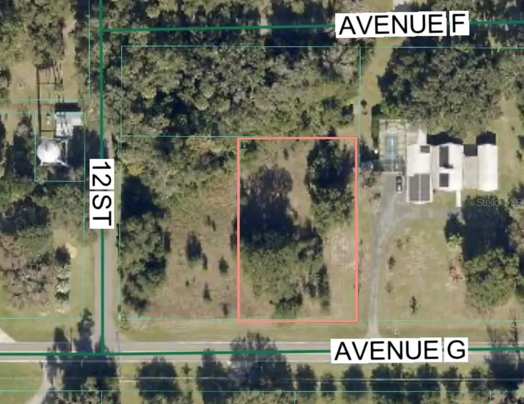 Avenue G Mc Intosh FL 32664