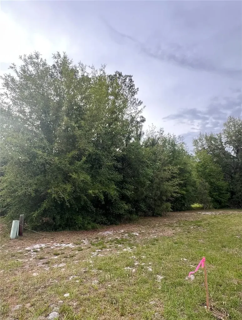 Avenue G Mc Intosh FL 32664