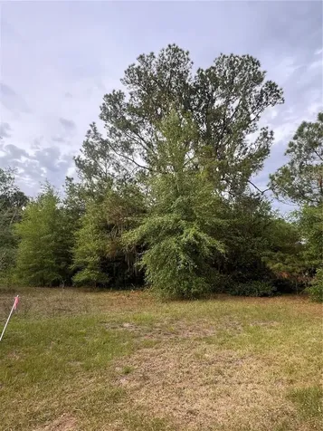 Avenue G Mc Intosh FL 32664