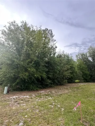 Avenue G Mc Intosh FL 32664