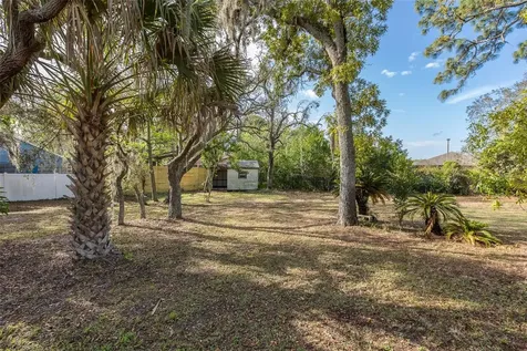9947 Grove Drive New Port Richey FL 34654