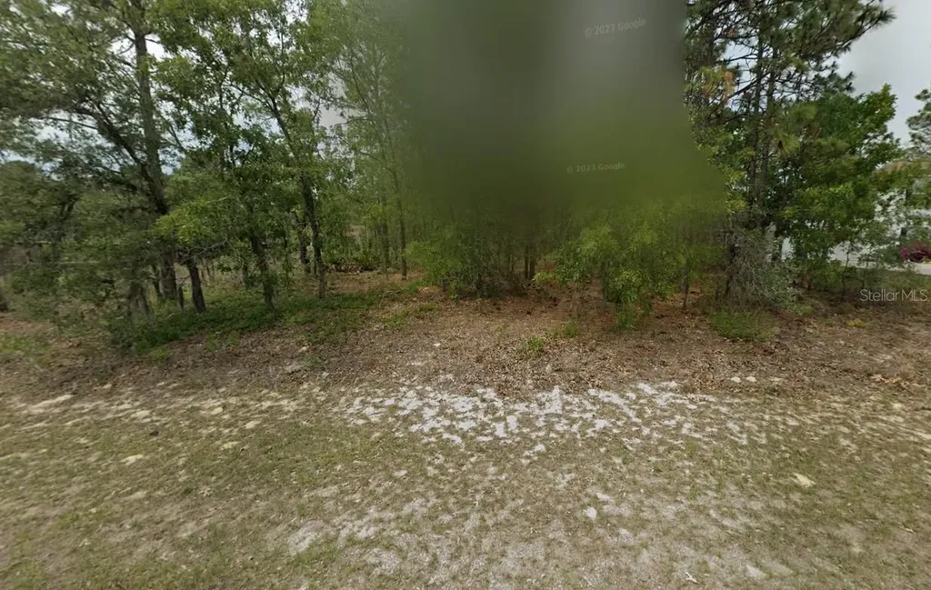 2065 W Tacoma Drive Citrus Springs FL 34434
