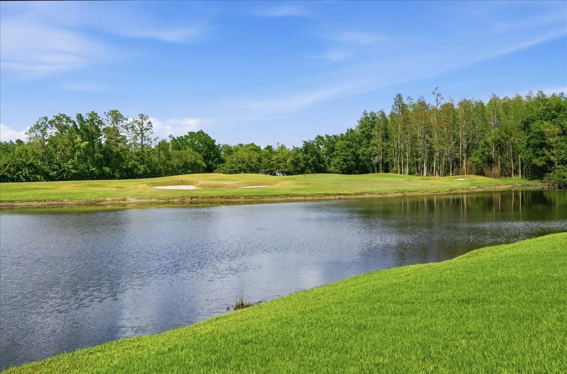 4317 Beau Rivage Circle Lutz FL 33558