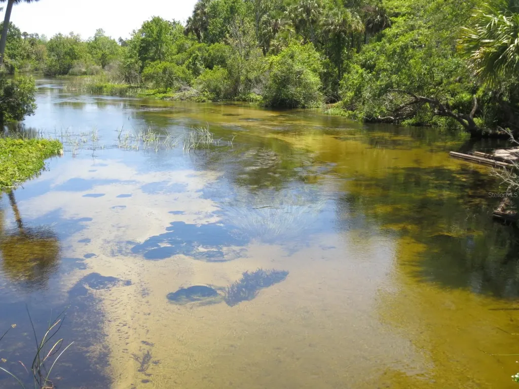 18167 SE 19th Street Silver Springs FL 34488