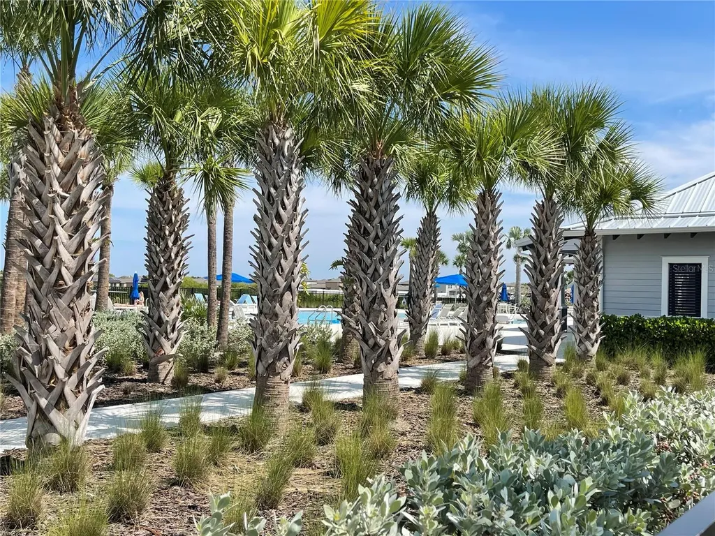 590 Sunlit Coral Street Ruskin FL 33570