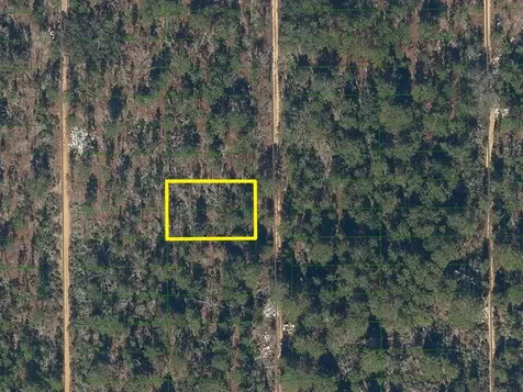227 Maple Street Interlachen FL 32148