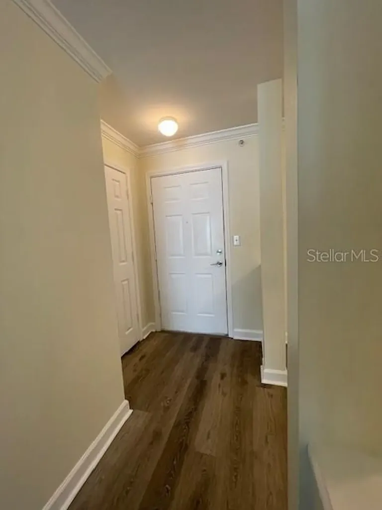 18319 Bridle Club Drive Tampa FL 33647