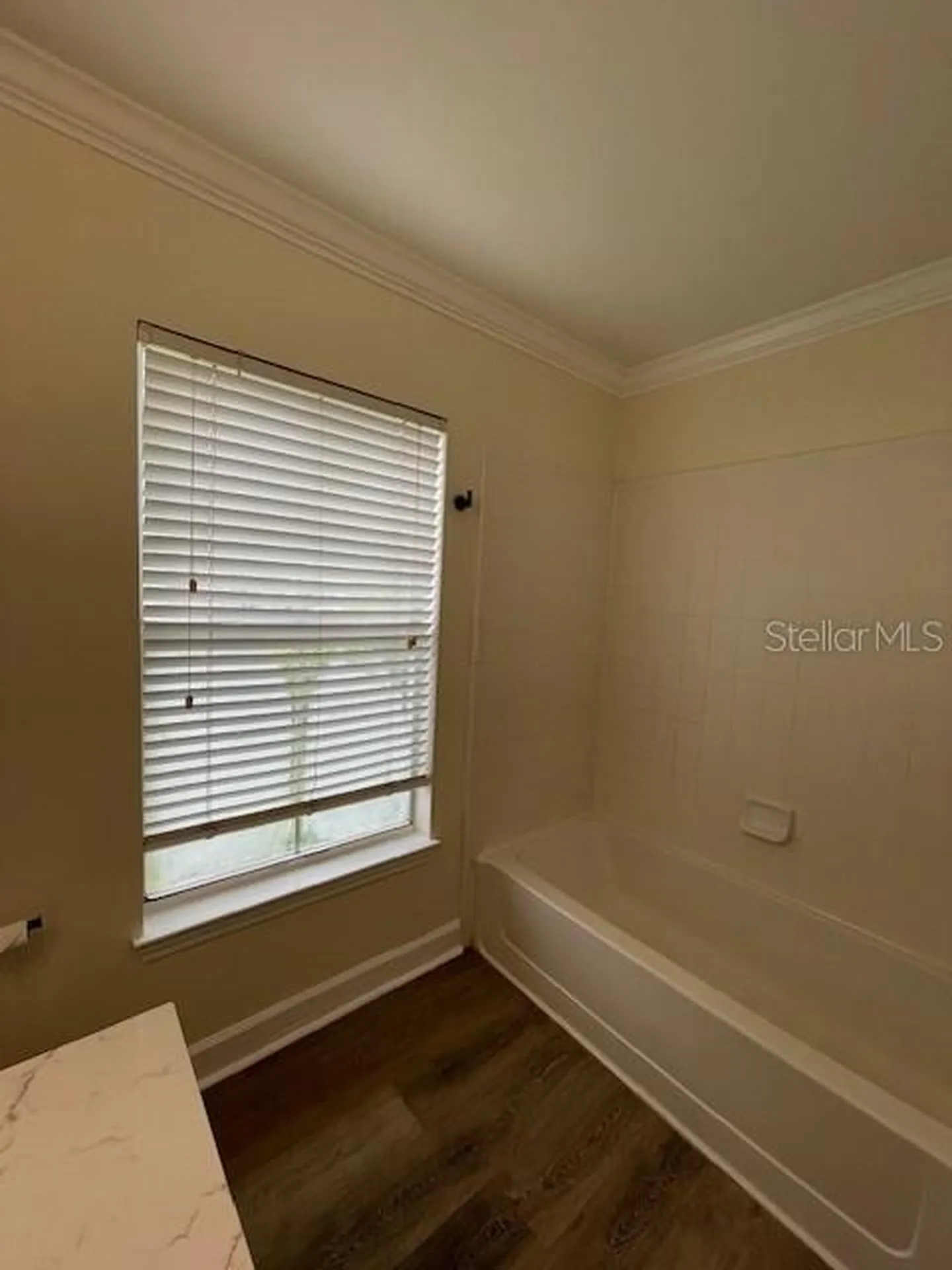 18319 Bridle Club Drive Tampa FL 33647