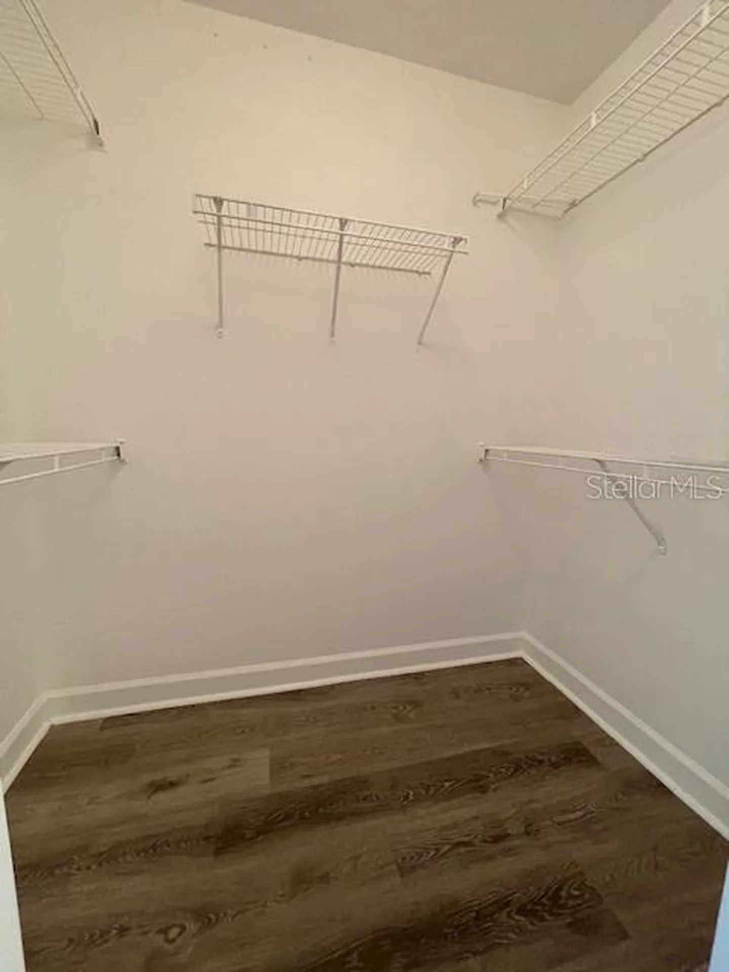 18319 Bridle Club Drive Tampa FL 33647
