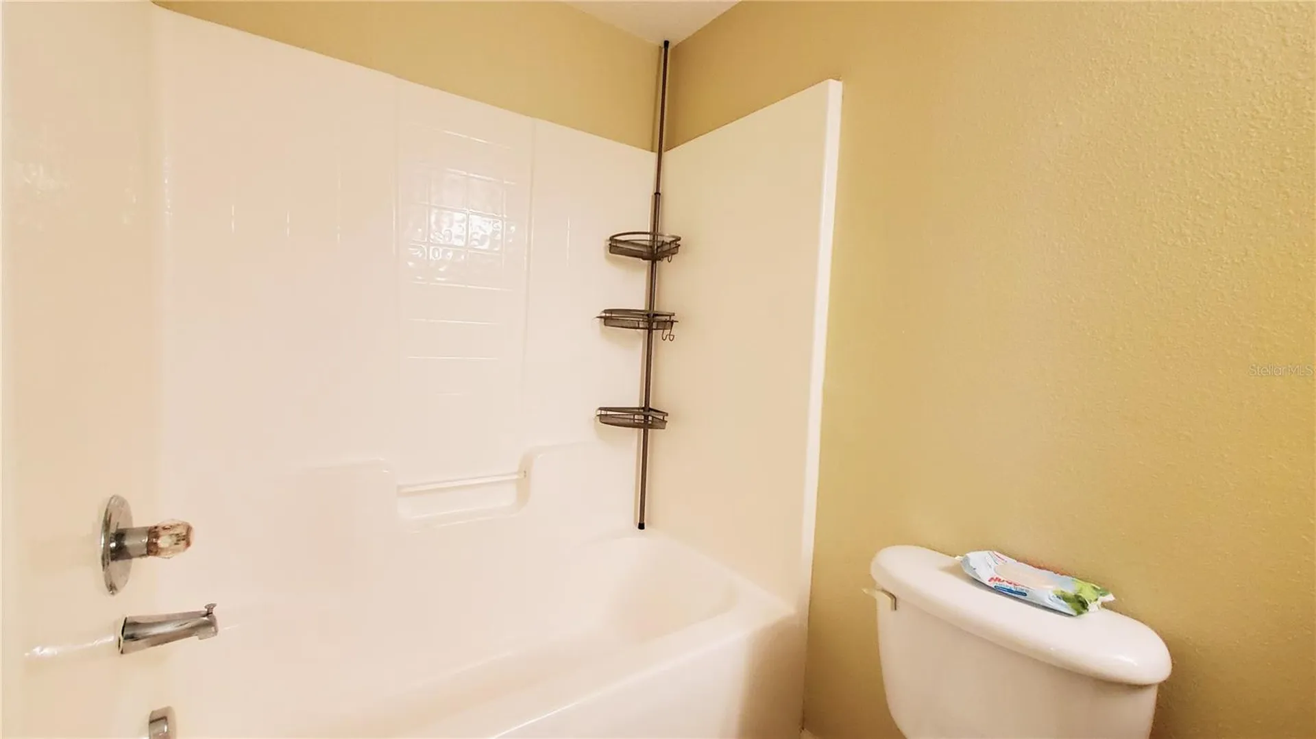 9612 Seadale Court Riverview FL 33578
