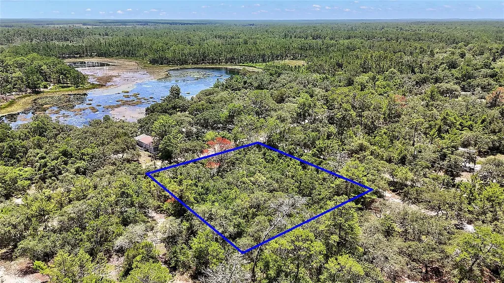 0 SE 197th Avenue Ocklawaha FL 32179