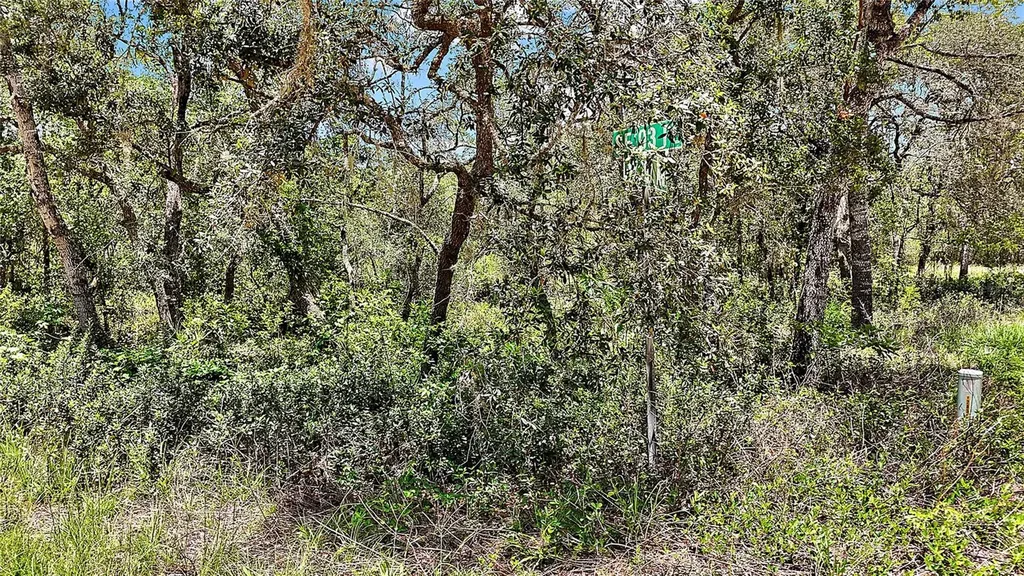 0 SE 197th Avenue Ocklawaha FL 32179