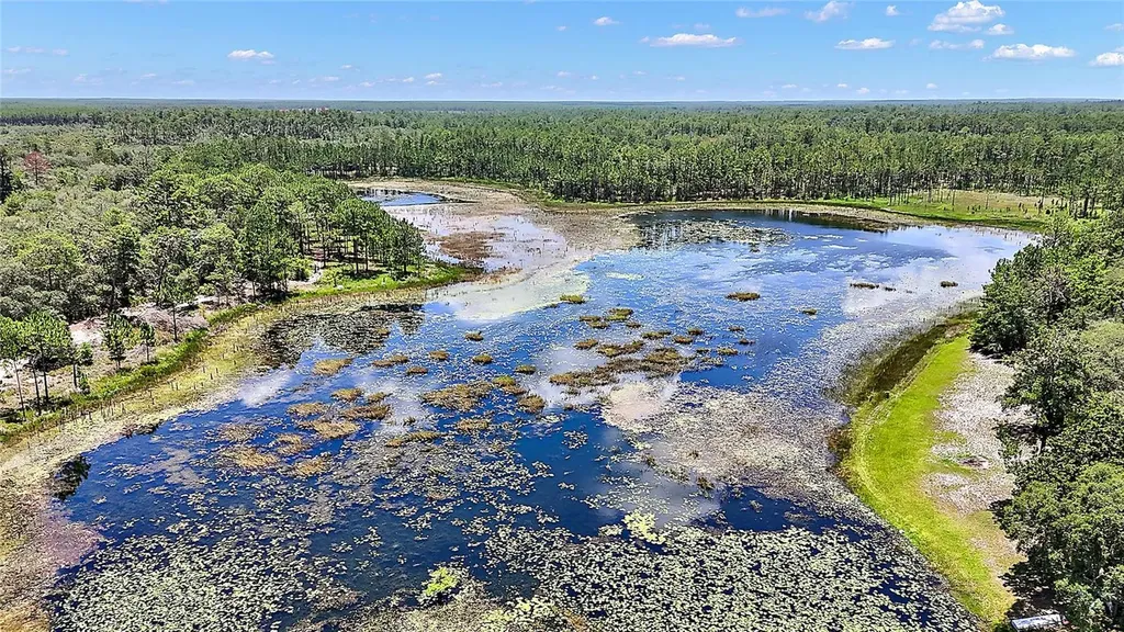 0 SE 197th Avenue Ocklawaha FL 32179
