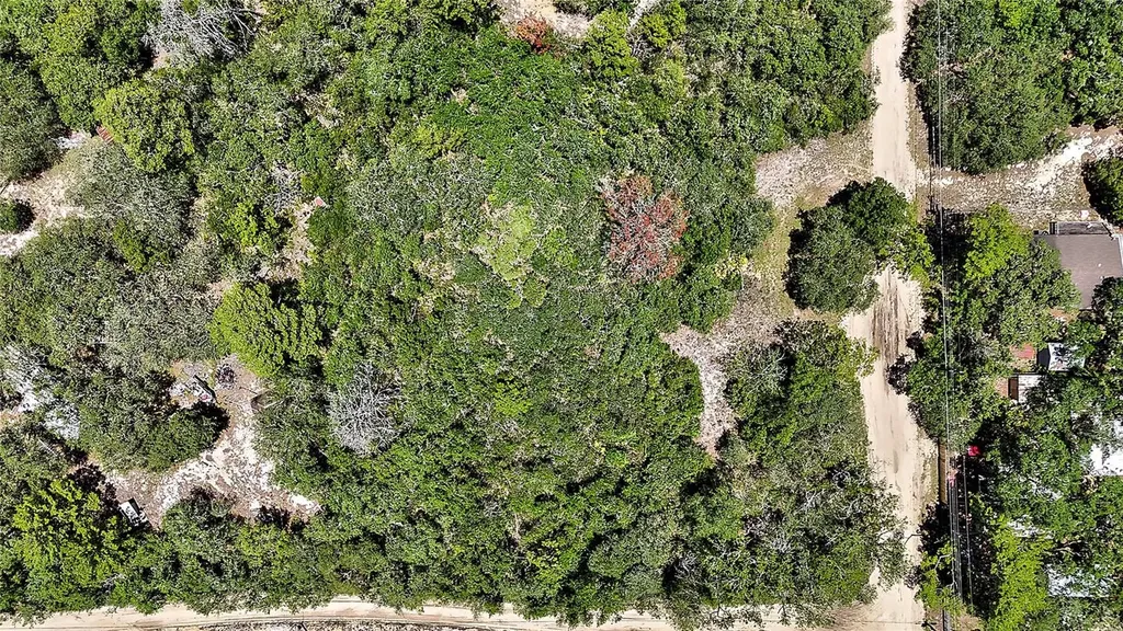 0 SE 197th Avenue Ocklawaha FL 32179