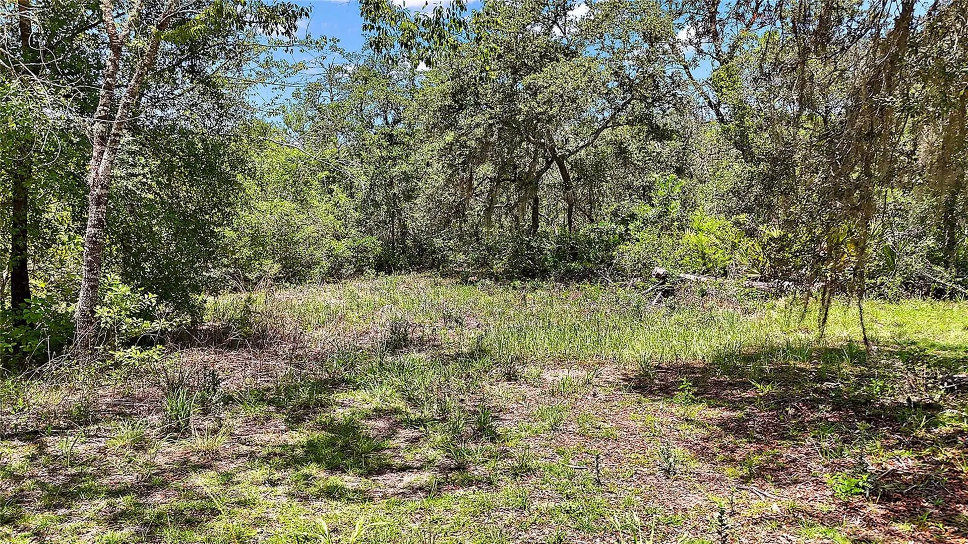 0 SE 197th Avenue Ocklawaha FL 32179
