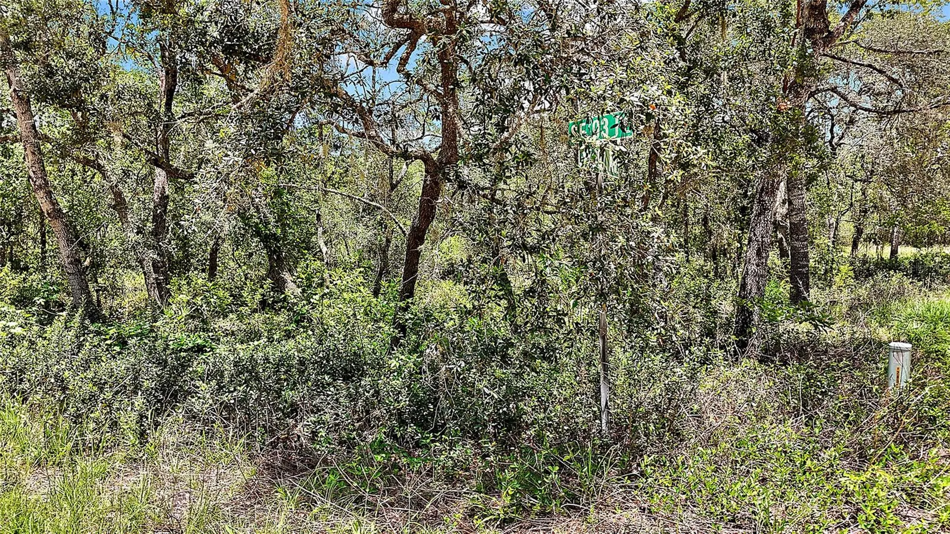 0 SE 197th Avenue Ocklawaha FL 32179