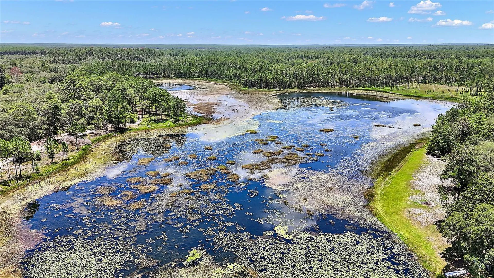 0 SE 197th Avenue Ocklawaha FL 32179