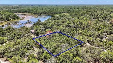 0 SE 197th Avenue Ocklawaha FL 32179