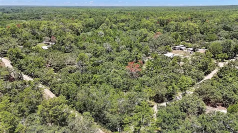 0 SE 197th Avenue Ocklawaha FL 32179