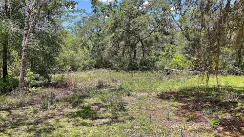 0 SE 197th Avenue Ocklawaha FL 32179