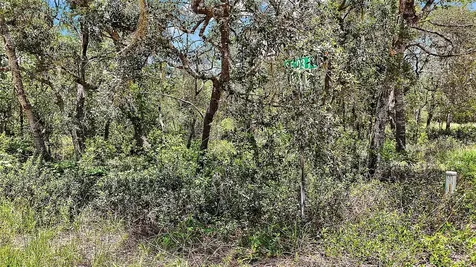 0 SE 197th Avenue Ocklawaha FL 32179