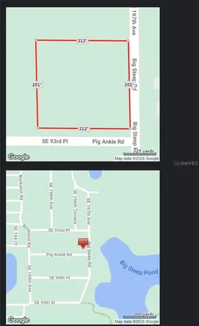 0 SE 197th Avenue Ocklawaha FL 32179
